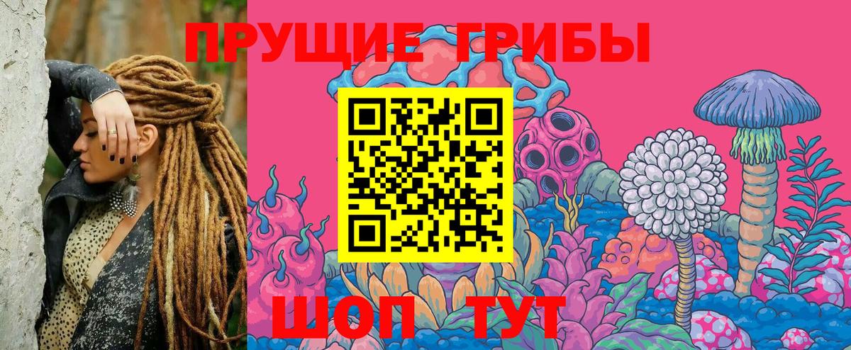 Псилоцибиновые грибы Cubensis Нарткала
