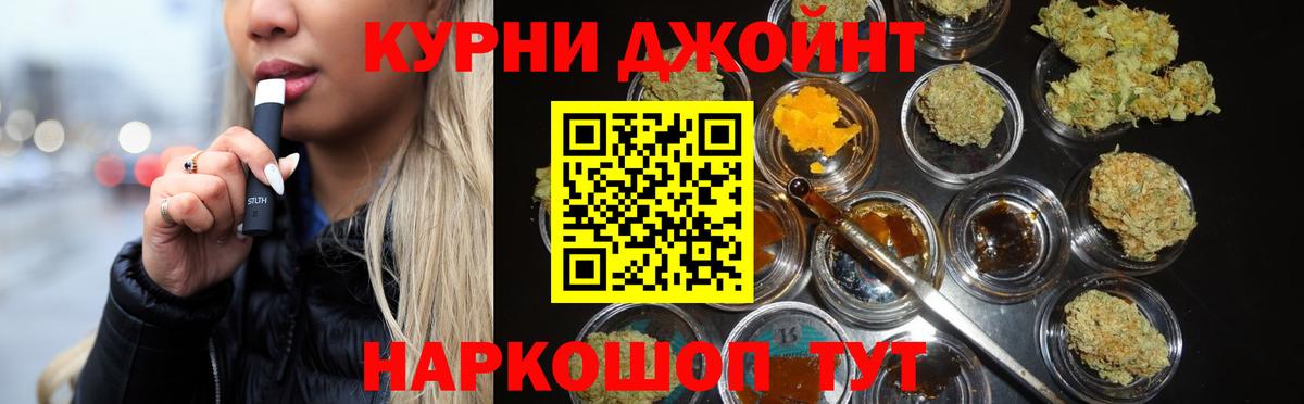 Каннабис планчик  Шишки марихуана план  Нарткала  Каннабис Ganja  Вход с VPN  Бошки Шишки гибрид 